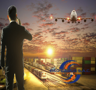 Asesoramiento Aduanero y Log&iacute;stico