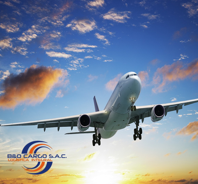 Exportaci&oacute;n e Importaci&oacute;n A&eacute;rea